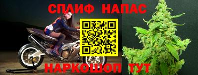 ГАЛЛЮЦИНОГЕННЫЕ ГРИБЫ Ирбит