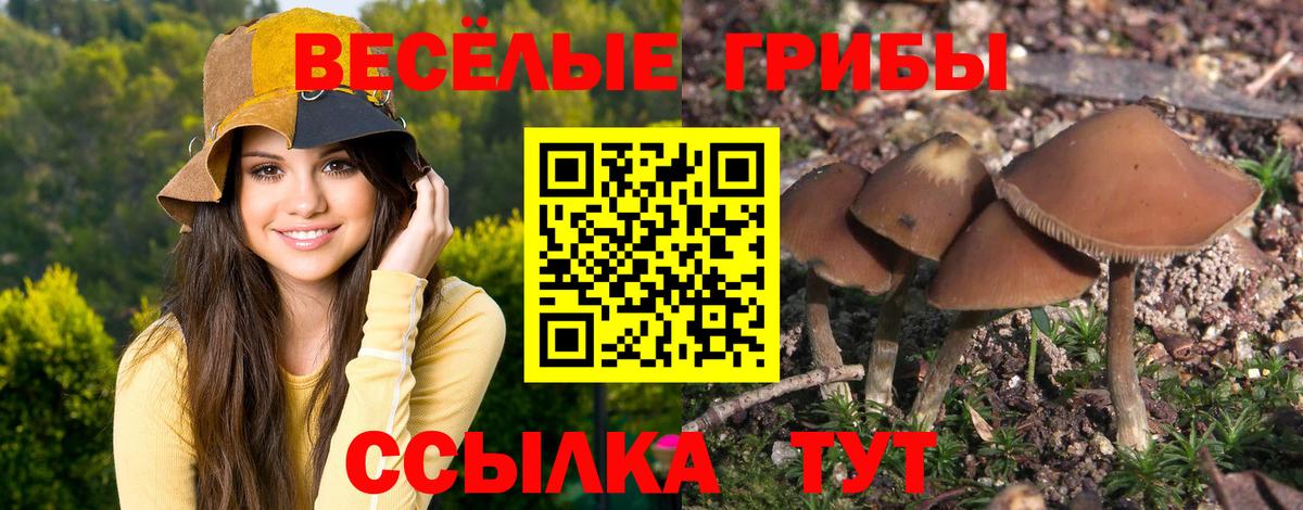 Кушва  Псилоцибиновые грибы Magic Shrooms  Вход с VPN 